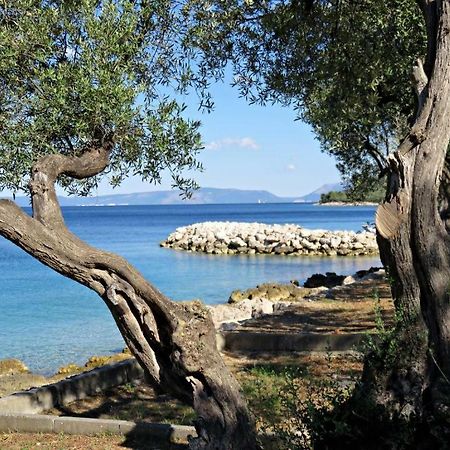 Apartament Cres Εξωτερικό φωτογραφία